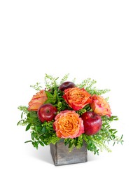 Rosy Orchard from The Posie Shoppe in Prineville, OR